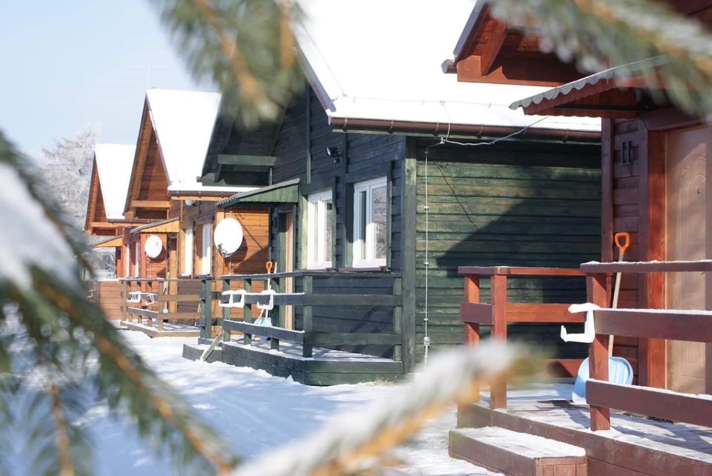 Stanica Pod Zadzierna Domki Caloroczne Lubawka Dış mekan fotoğraf